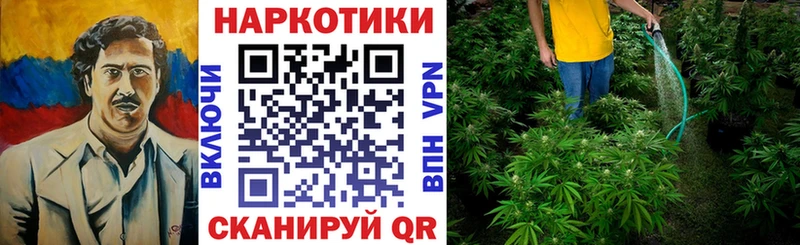 Купить закладку ГАШИШ  Бошки Шишки  Кокаин  МЕТАМФЕТАМИН  Меф мяу мяу  Чистополь
