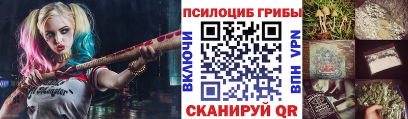 Галлюциногенные грибы Psilocybe  Купить закладки  Чистополь 